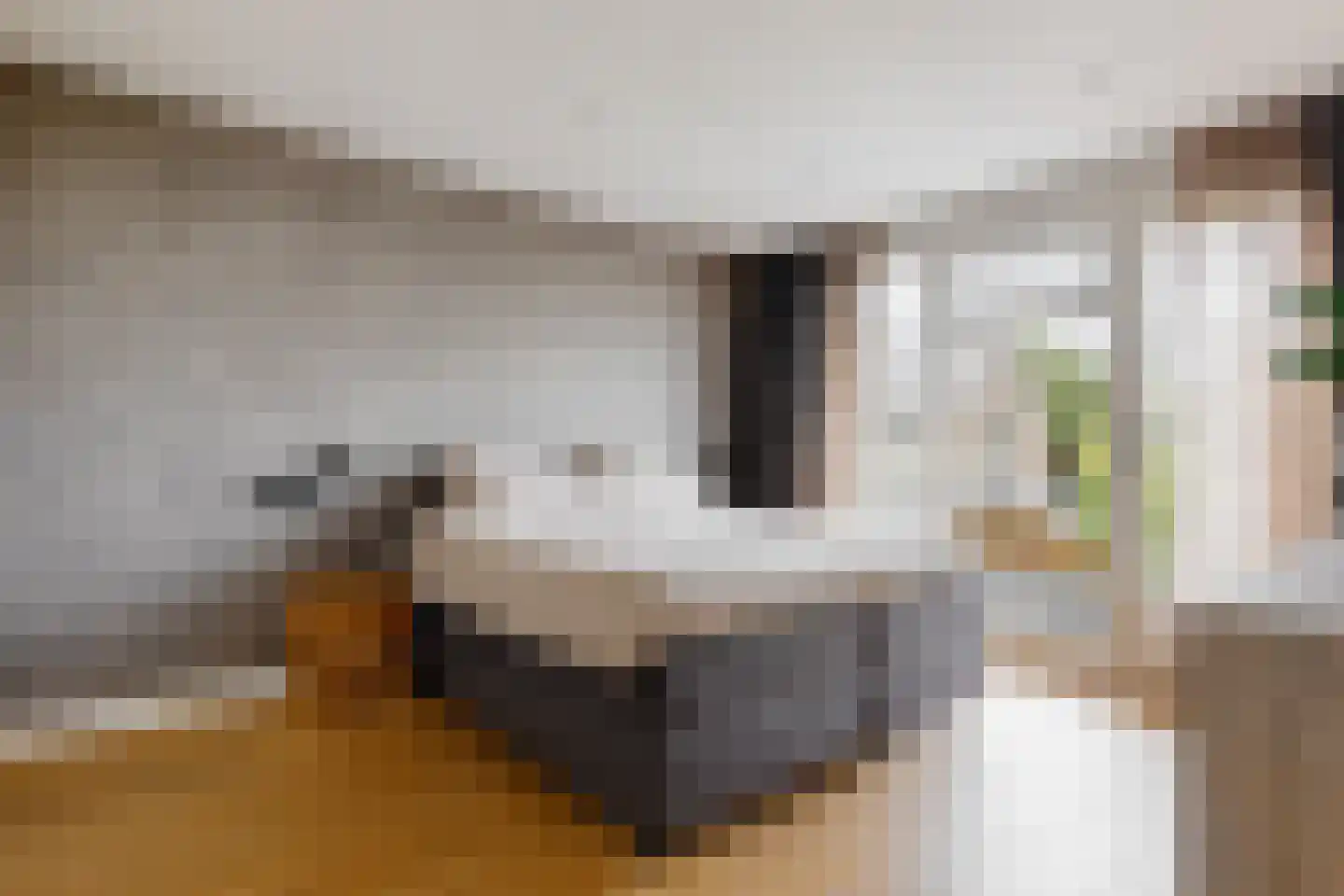 Thorbeckelaan 14 Velsen-Zuid thumbnail 30