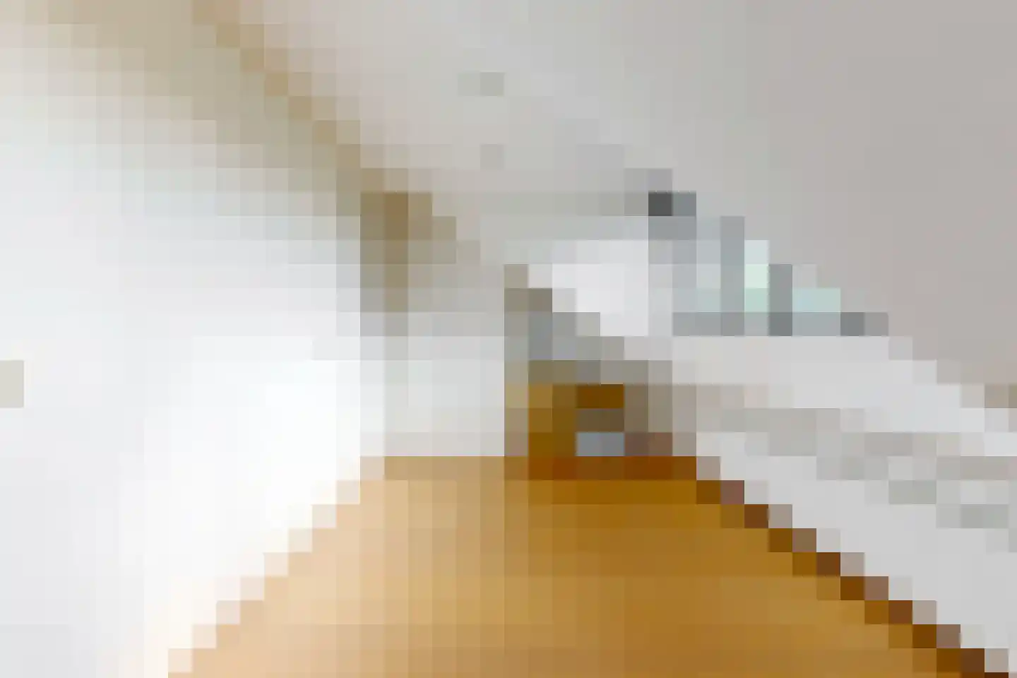 Thorbeckelaan 14 Velsen-Zuid thumbnail 35