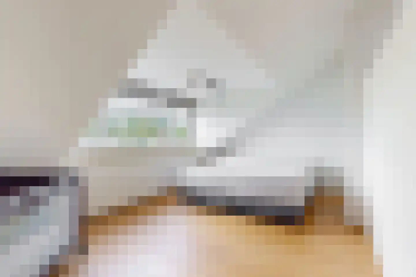 Thorbeckelaan 14 Velsen-Zuid thumbnail 37