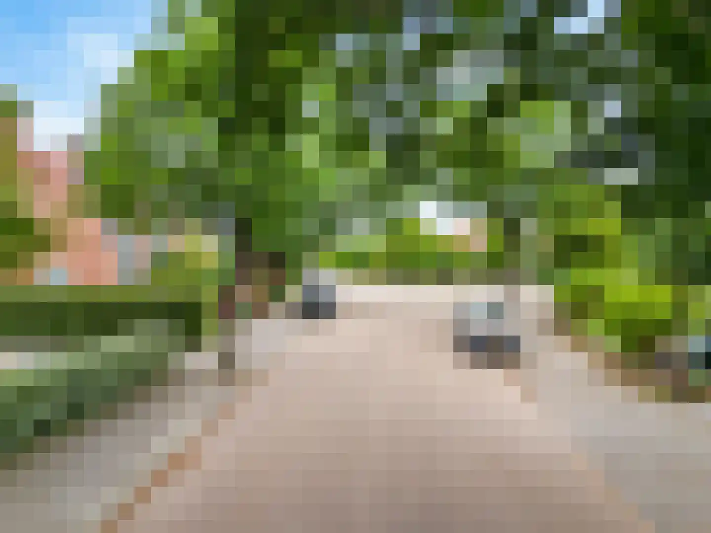 Thorbeckelaan 14 Velsen-Zuid thumbnail 41