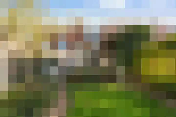 Thorbeckelaan 14 Waalwijk thumbnail 33