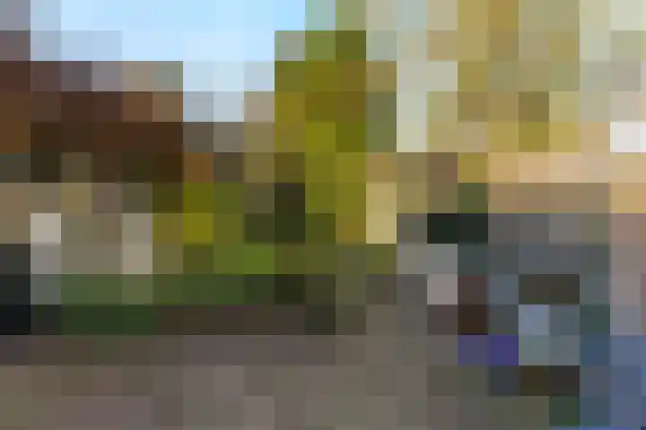 Thorbeckelaan 14 Waalwijk thumbnail 34