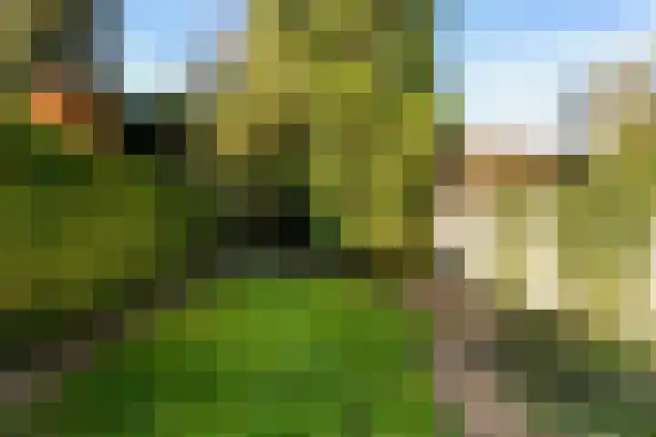 Thorbeckelaan 14 Waalwijk thumbnail 35