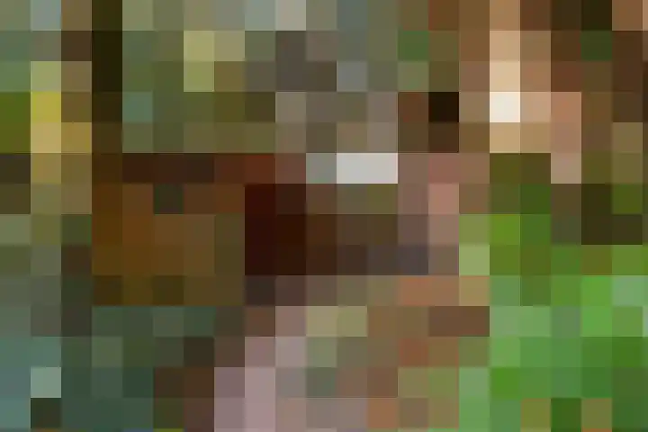 Thorbeckelaan 14 Waalwijk thumbnail 36