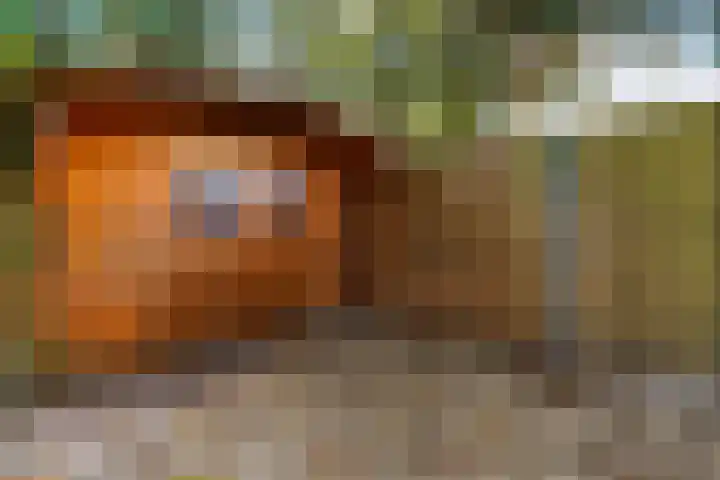Thorbeckelaan 14 Waalwijk thumbnail 37