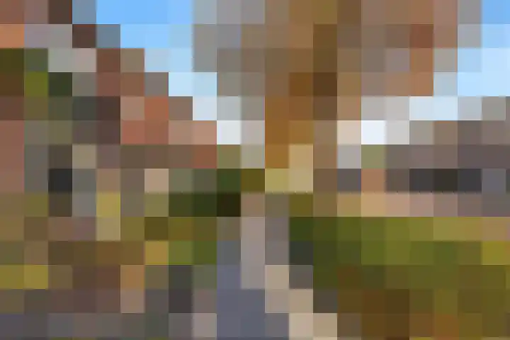 Thorbeckelaan 14 Waalwijk thumbnail 5