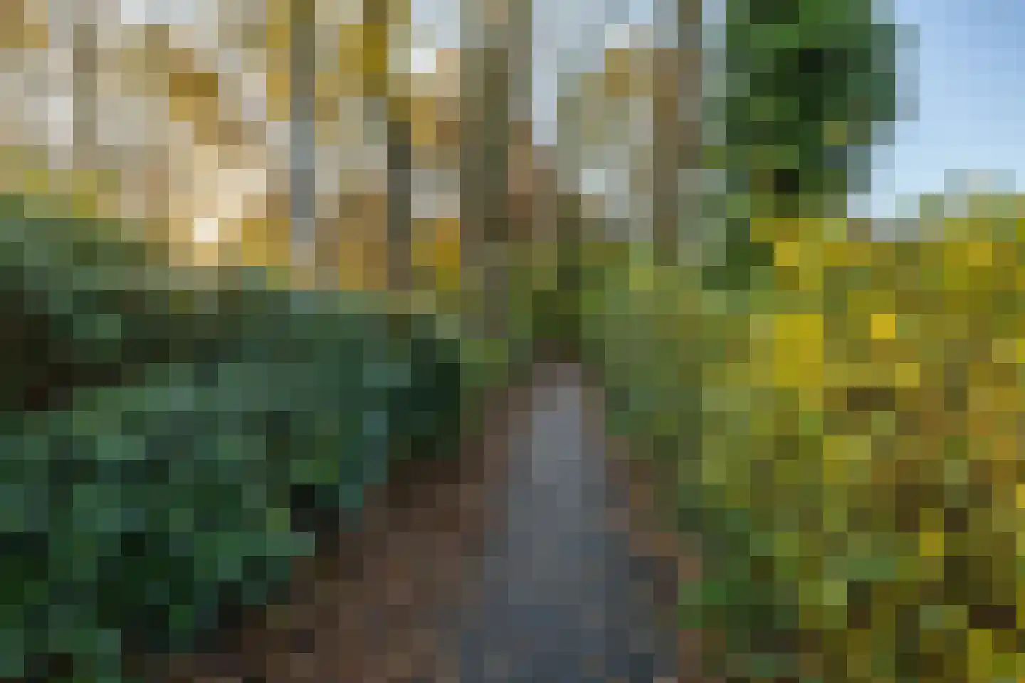 Thorbeckelaan 142 Groningen thumbnail 34