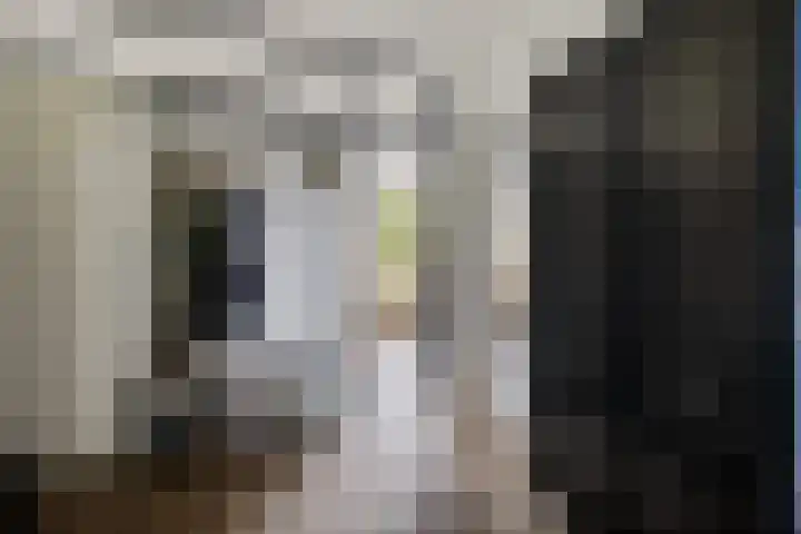 Thorbeckelaan 144 Groningen thumbnail 11