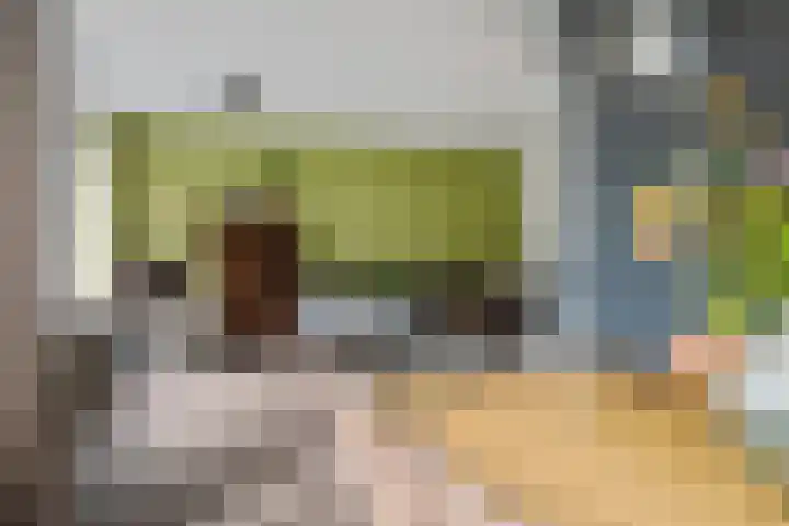Thorbeckelaan 144 Groningen thumbnail 13