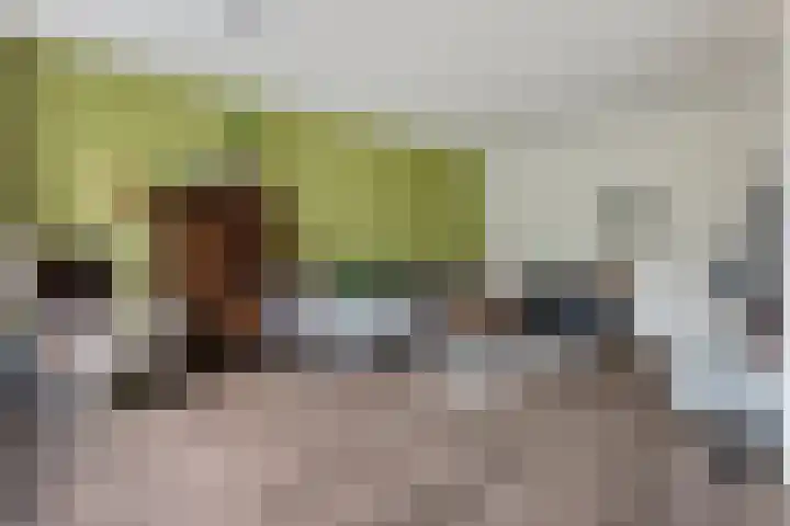 Thorbeckelaan 144 Groningen thumbnail 14
