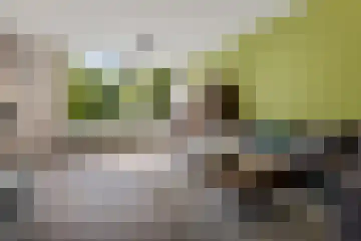 Thorbeckelaan 144 Groningen thumbnail 16