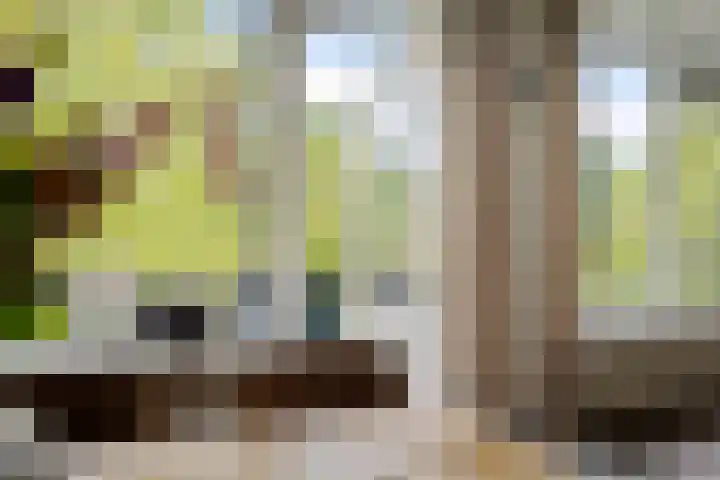 Thorbeckelaan 144 Groningen thumbnail 21