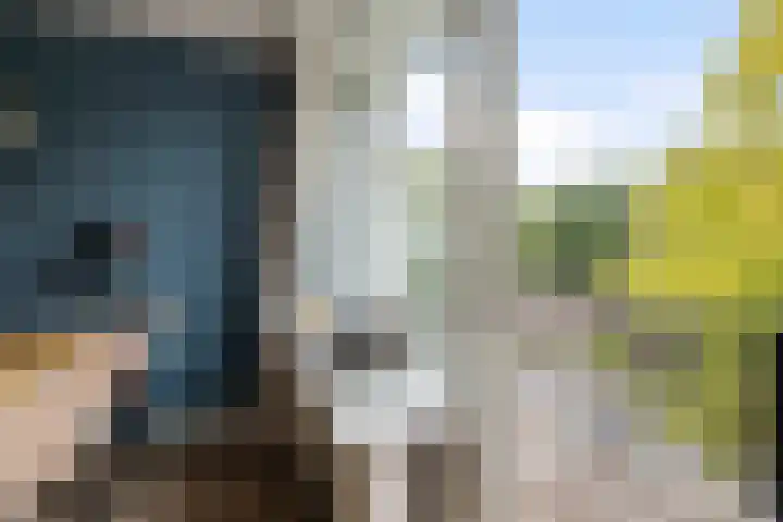 Thorbeckelaan 144 Groningen thumbnail 22