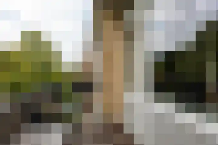 Thorbeckelaan 144 Groningen thumbnail 24