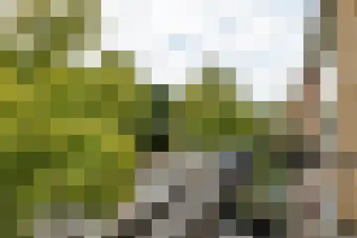 Thorbeckelaan 144 Groningen thumbnail 25