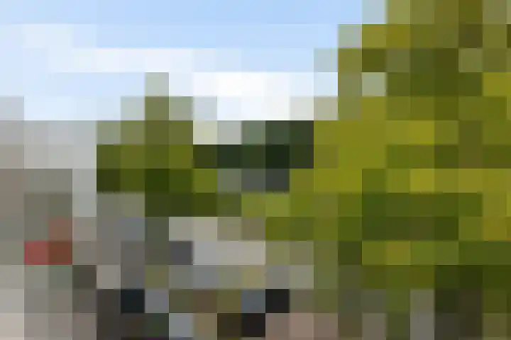 Thorbeckelaan 144 Groningen thumbnail 26