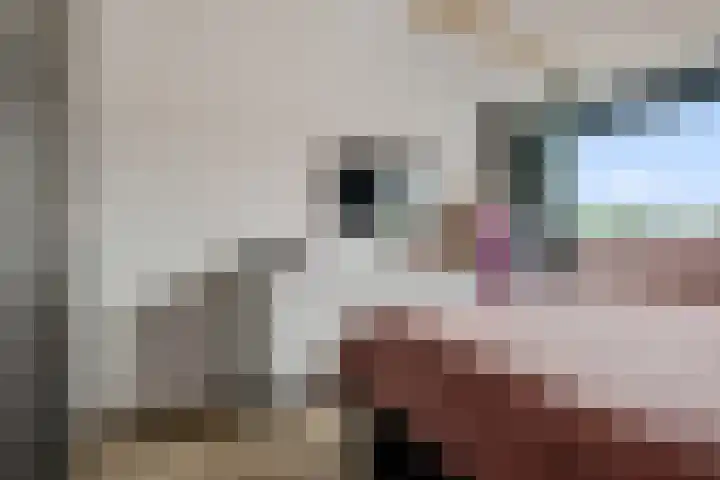 Thorbeckelaan 144 Groningen thumbnail 31