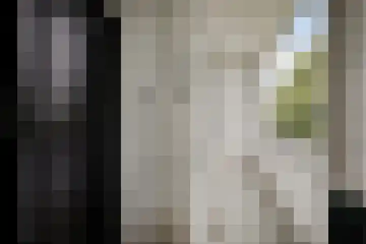 Thorbeckelaan 144 Groningen thumbnail 35