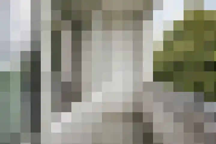 Thorbeckelaan 144 Groningen thumbnail 36