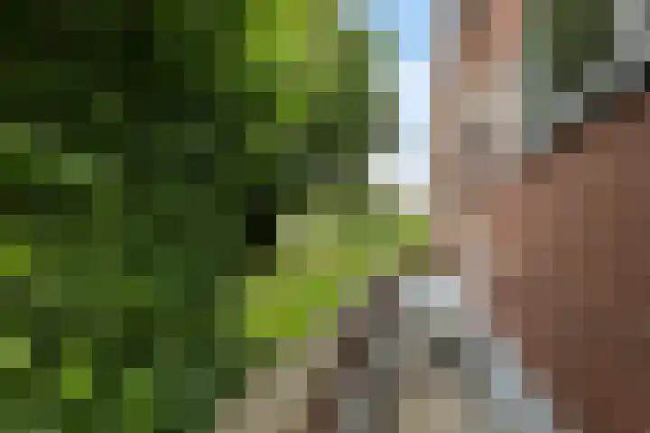 Thorbeckelaan 144 Groningen thumbnail 43