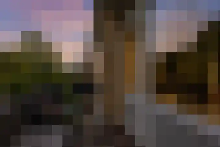 Thorbeckelaan 144 Groningen thumbnail 45