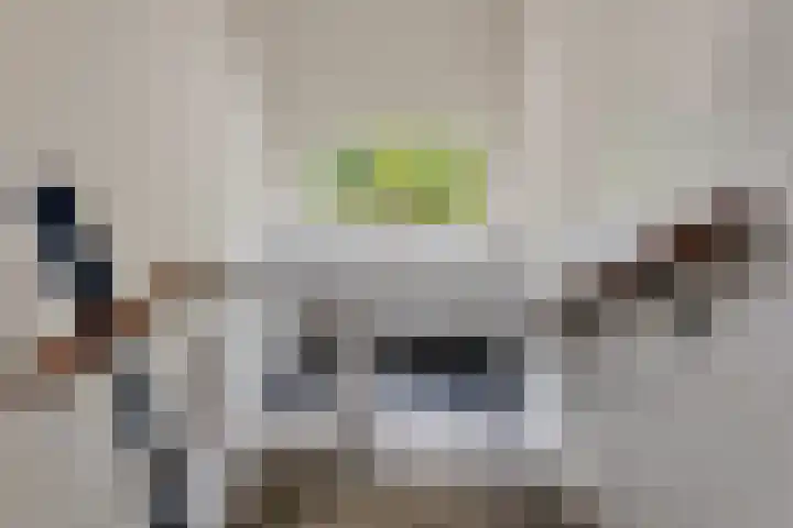 Thorbeckelaan 144 Groningen thumbnail 8