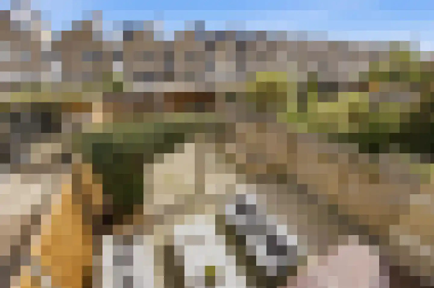 Thorbeckelaan 149 Roosendaal thumbnail 33