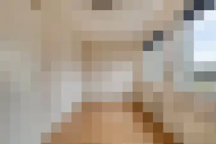 Thorbeckelaan 15 Goes thumbnail 12