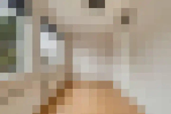 Thorbeckelaan 15 Goes thumbnail 13