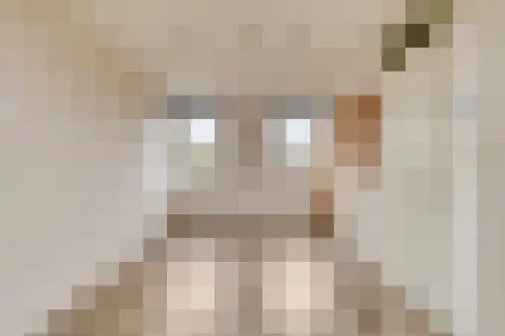 Thorbeckelaan 15 Goes thumbnail 20