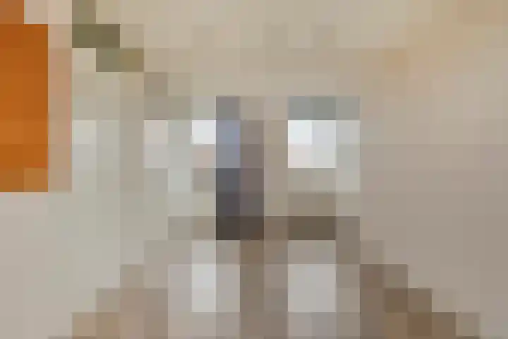 Thorbeckelaan 15 Goes thumbnail 21