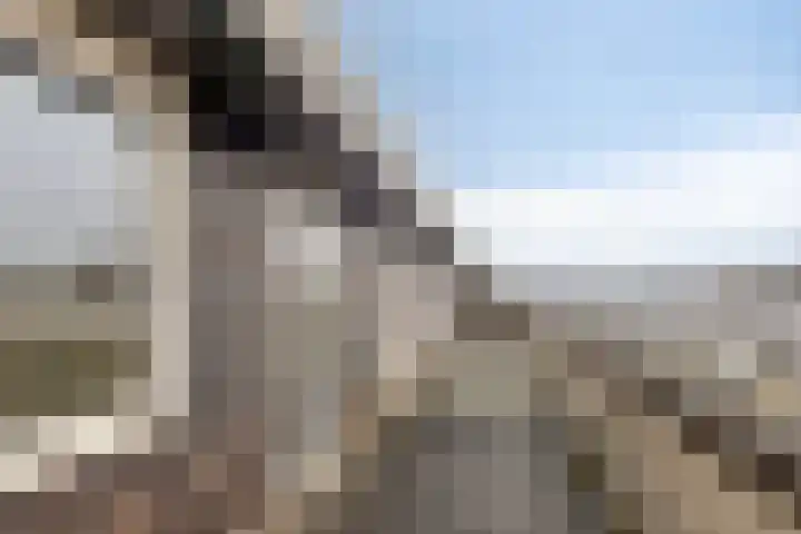 Thorbeckelaan 15 Goes thumbnail 23