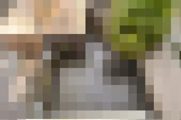 Thorbeckelaan 15 Goes thumbnail 25