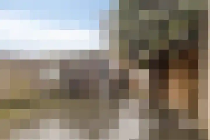 Thorbeckelaan 15 Goes thumbnail 4