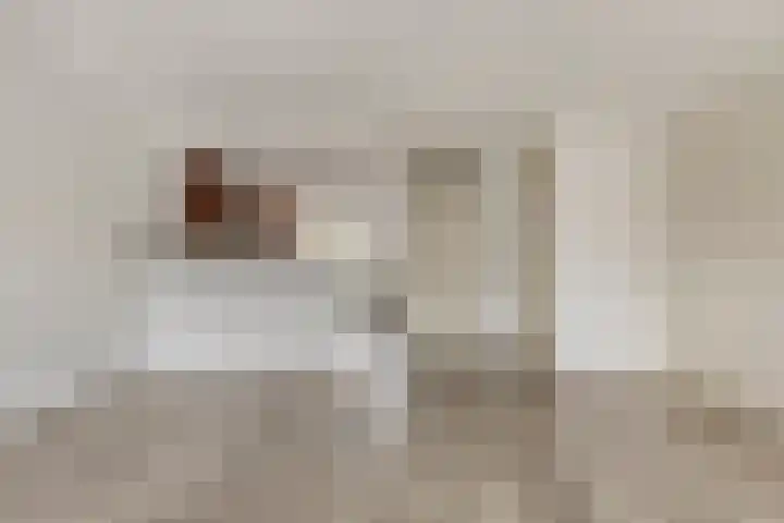 Thorbeckelaan 15 Goes thumbnail 8