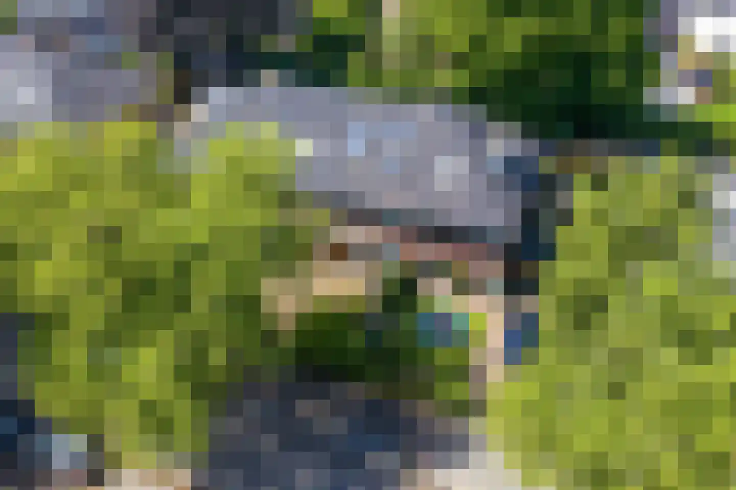 Thorbeckelaan 16 Naarden thumbnail 29