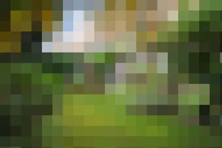 Thorbeckelaan 162 Den Haag thumbnail 10