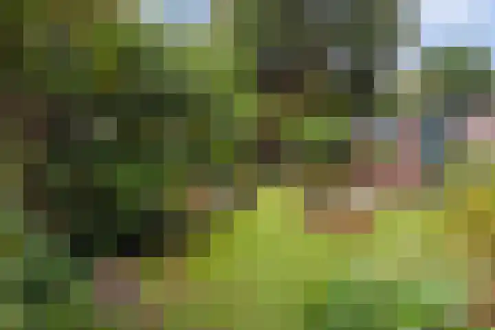 Thorbeckelaan 162 Den Haag thumbnail 13