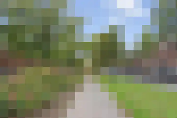 Thorbeckelaan 162 Den Haag thumbnail 35