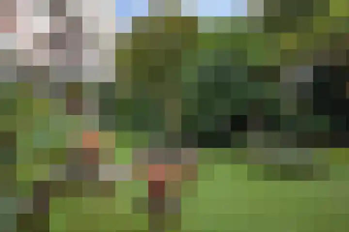 Thorbeckelaan 162 Den Haag thumbnail 7