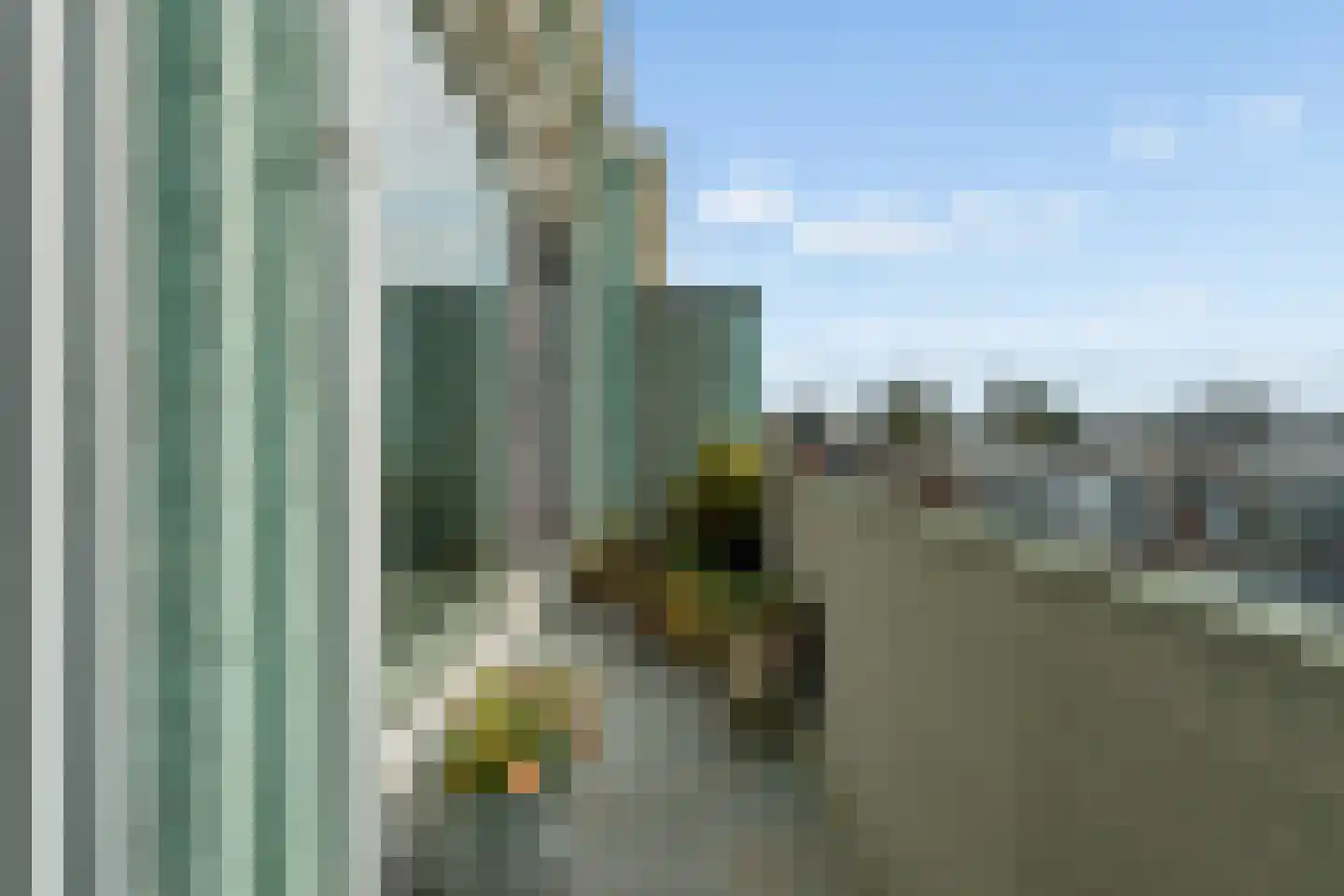 Thorbeckelaan 164 Den Haag thumbnail 38
