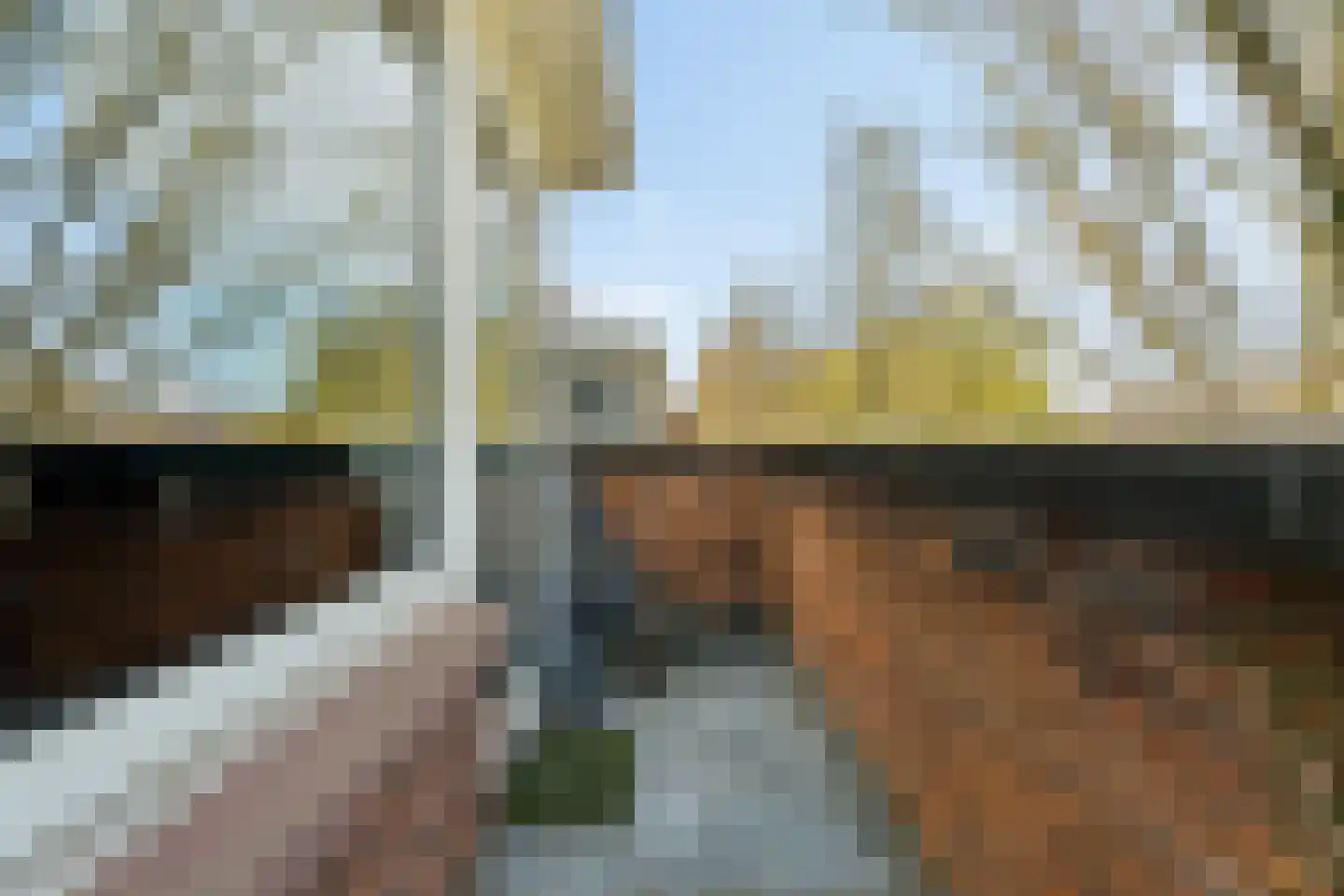 Thorbeckelaan 164 Den Haag thumbnail 48
