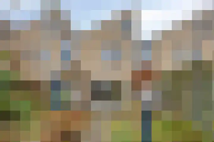 Thorbeckelaan 167 Roosendaal thumbnail 4