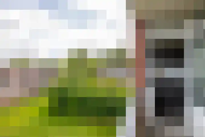 Thorbeckelaan 168 Groningen thumbnail 29