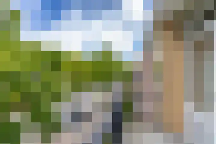 Thorbeckelaan 168 Groningen thumbnail 30