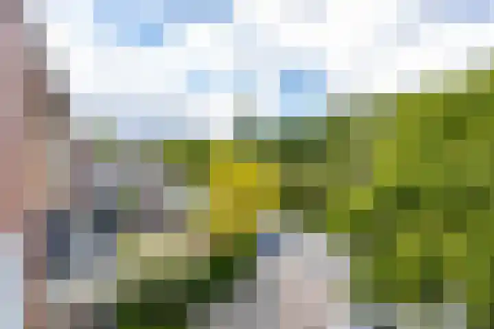 Thorbeckelaan 168 Groningen thumbnail 31