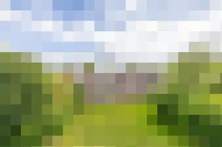 Thorbeckelaan 168 Groningen thumbnail 32