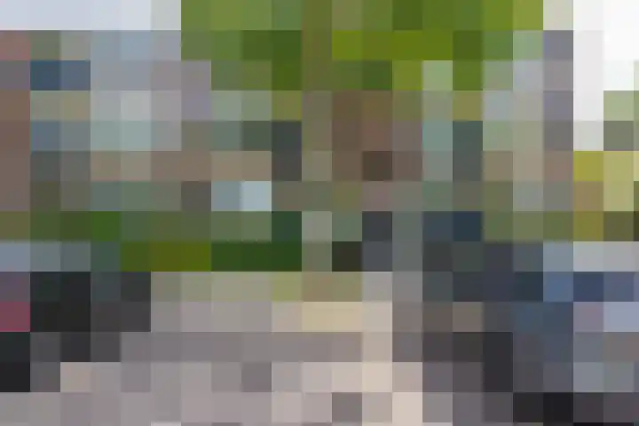 Thorbeckelaan 168 Groningen thumbnail 33