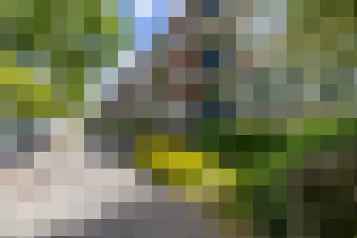 Thorbeckelaan 168 Groningen thumbnail 34