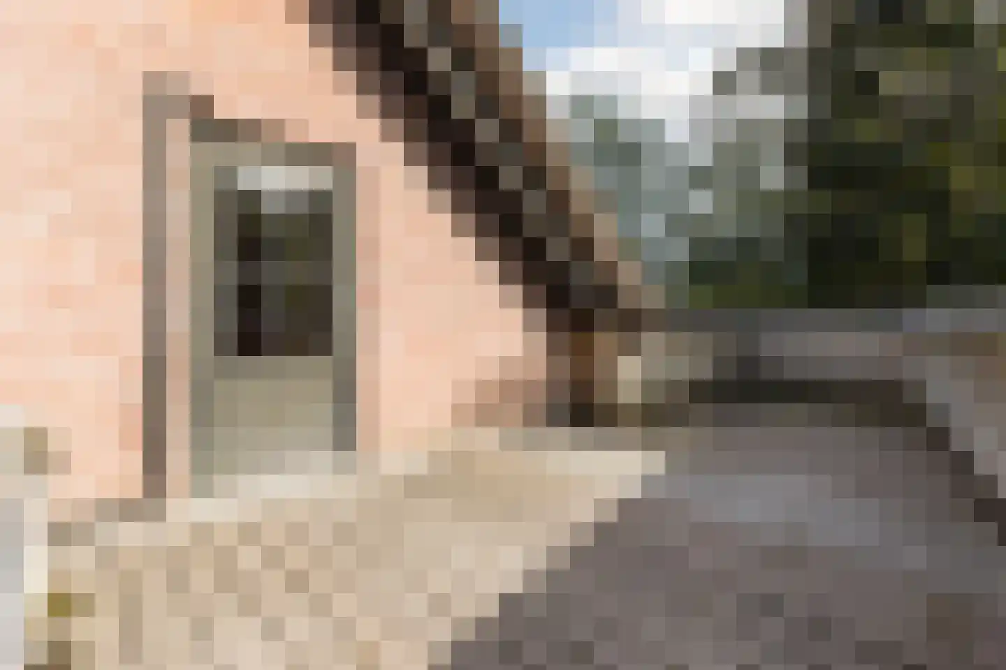 Thorbeckelaan 17 Veghel thumbnail 31